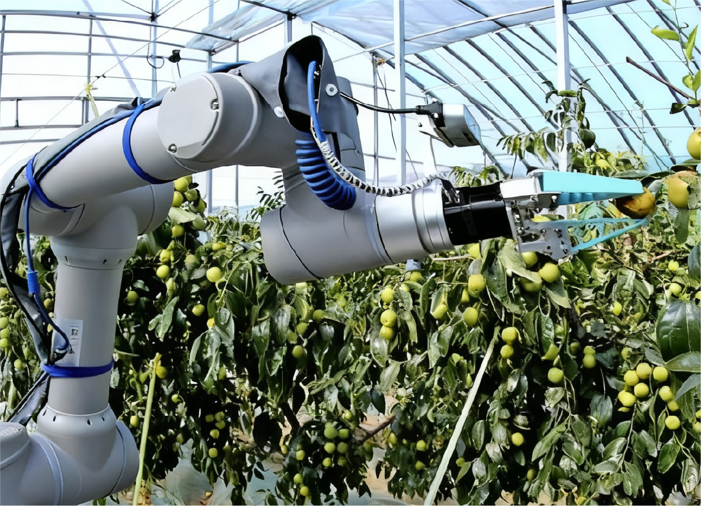 Agricultural Harvesting Visual Perception Solution